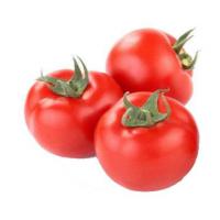 西红柿*约1斤*1份